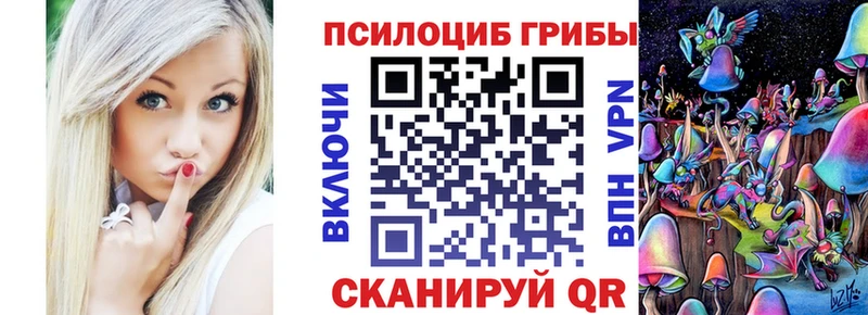 магазин продажи наркотиков  Дзержинский  Галлюциногенные грибы GOLDEN TEACHER 