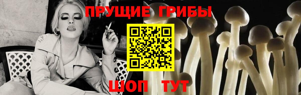 Псилоцибиновые грибы мицелий Дзержинский